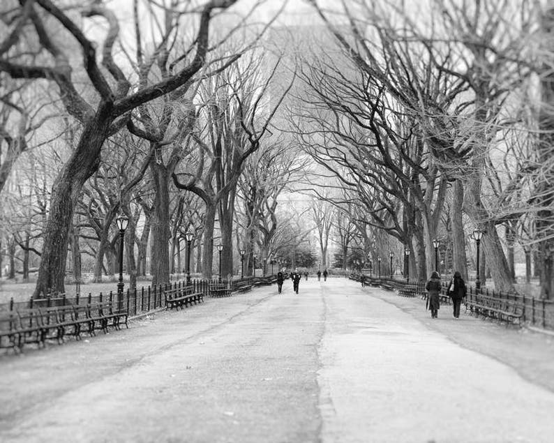 Central Park New York Wall Art Black and White Photography Etsy