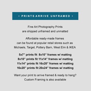 May include: Text on a white background that reads: "&bull; PRINTS ARRIVE UNFRAMED &bull; Fine Art Photography Prints are shipped unframed and unmatted Affordable ready-made frames can be found at popular retail stores such as Michaels, Target, Pottery Barn, West Elm & IKEA 5x7" prints fit 8x10" frames w/ matting 8x10" prints fit 11x14" frames w/ matting 11x14" prints fit 16x20" frames w/ matting 16x20" prints fit 20x24" frames w/ matting Want your print to arrive framed & ready to hang? Custom Framing is also available"