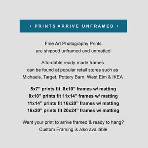 May include: Text on a white background that reads: "&bull; PRINTS ARRIVE UNFRAMED &bull; Fine Art Photography Prints are shipped unframed and unmatted Affordable ready-made frames can be found at popular retail stores such as Michaels, Target, Pottery Barn, West Elm & IKEA 5x7" prints fit 8x10" frames w/ matting 8x10" prints fit 11x14" frames w/ matting 11x14" prints fit 16x20" frames w/ matting 16x20" prints fit 20x24" frames w/ matting Want your print to arrive framed & ready to hang? Custom Framing is also available"