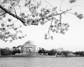 Washington DC Art, Cherry Blossoms, Jefferson Memorial, Black and White Photography, DC Print, Wall Art