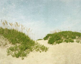Beach Wall Art, Beach Decor, Beach Print, Sand Dunes, Landscape Photography, Sea Oats, Coastal Decor, Ocean Art