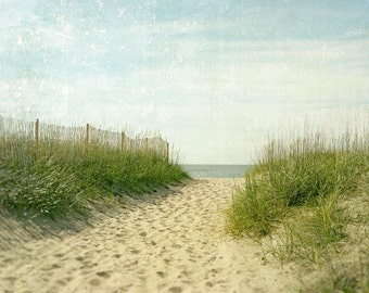Outer Banks Beach Photography, Sea Oats and Sand Dunes, Beach Wall Art, Coastal Decor