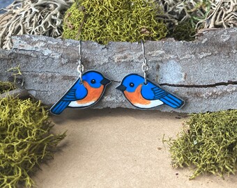 May include: A pair of bluebird earrings made of painted resin with silver hooks. The bluebirds are facing each other and have orange breasts and white bellies.