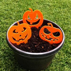 Könnte beinhalten: Drei orangefarbene Plastikkürbis-Dekorationen mit Jack-o'-Lantern-Gesichtern sind in einen schwarzen Topf mit dunkelbrauner Erde gepflanzt.