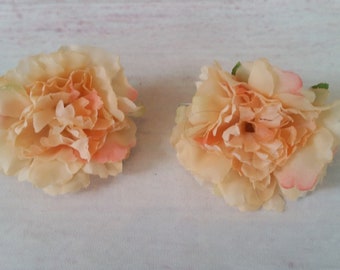 May include: Two peach-colored carnation flowers with ruffled petals. The flowers are arranged in a symmetrical pattern.
