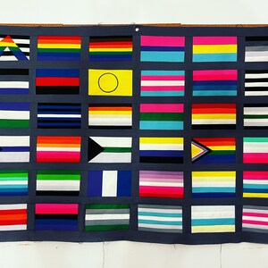 May include: A wall hanging featuring a variety of pride flags, including the rainbow flag, the transgender flag, the bisexual flag, and the pansexual flag.