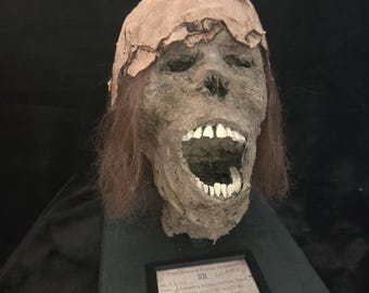 Può includere: Una replica di una testa di mummia egizia antica con capelli castano scuro e un copricapo in tessuto color cuoio. Il volto è scuro e ruvido, con la bocca aperta e denti bianchi visibili. Sotto è fissata una targhetta nera con testo stampato.