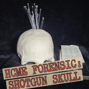 May include: A white human skull with a cluster of small silver pins inserted into the top of the skull. The skull is sitting on a black surface with a piece of paper behind it. The text "HCME FORENSIC: SHOTGUN SKULL" is superimposed over the image.