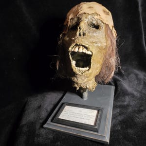Screaming Mummified Head Full Size  - Read Description - Schreiender mumifizierter Kopf in voller Größe