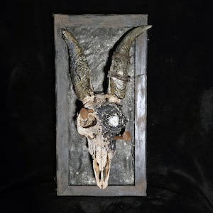 Replica Witches Ritual Goat Skull Relic - Historical Oddity