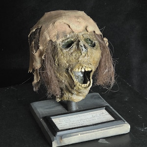 May include: A mummified human head with dark brown hair and a tattered beige fabric head covering, mounted on a gray wooden stand. A rectangular label on the base reads: Petrie Museum of Egyptian Archaeology, No. 82 1758, Head of Egyptian Dwarf, 23A-1.