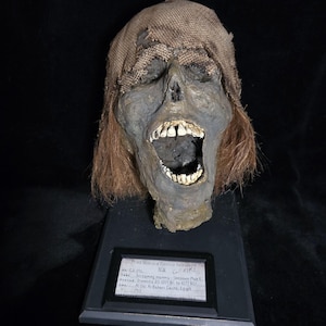 Screaming Mummified Head Full Size  - Read Description - Schreiender mumifizierter Kopf in voller Größe