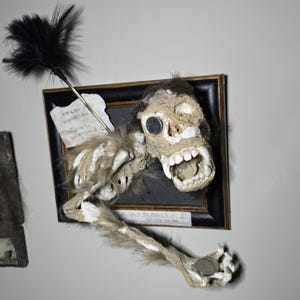 Lucky Capuchin Mummified Monkey Dispatched With Jivaro Blowgun Dart