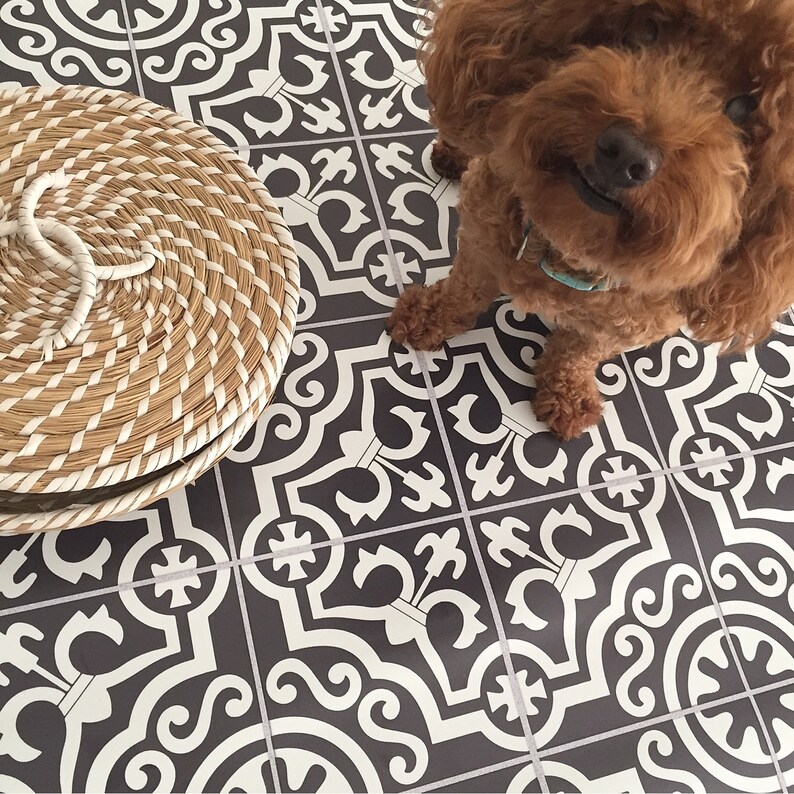 Puede incluir: Una cesta redonda de mimbre con un asa de cuerda blanca descansa sobre un suelo de baldosas estampadas. El suelo presenta un dise&ntilde;o repetitivo en blanco y negro. Un perro marr&oacute;n con pelo rizado tambi&eacute;n est&aacute; en la imagen.