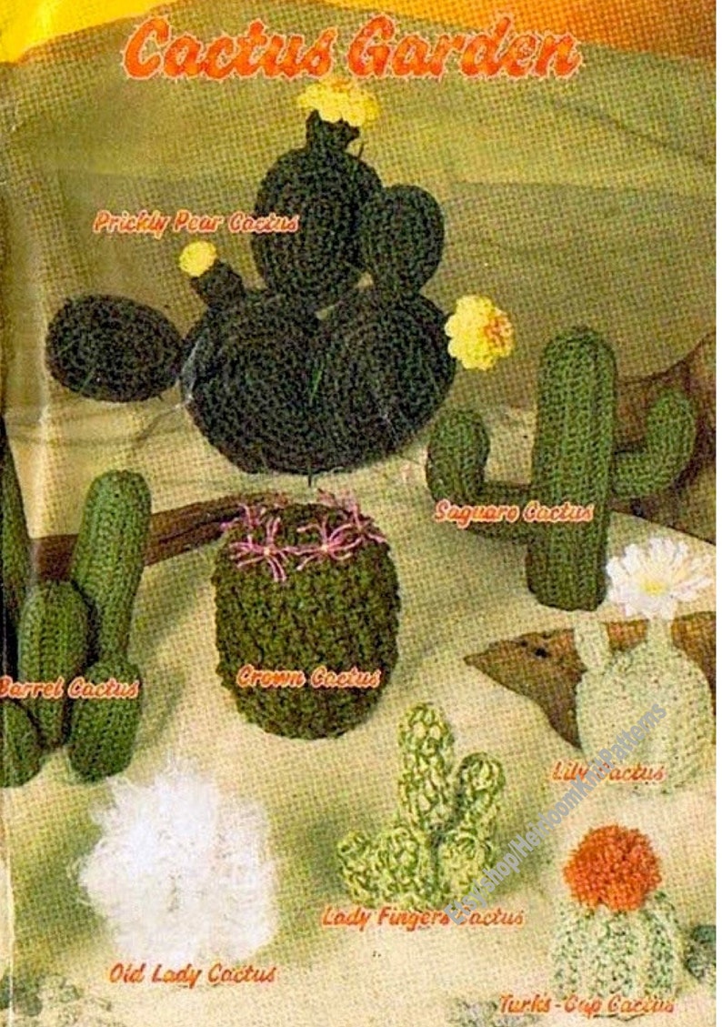 16 Designs Cactus Garden Vintage Crochet Pattern Realistic Mini Cacti Amigurumi Soft Toy Pincushion Gift Idea DIY Instant Download PDF 3682 image 3