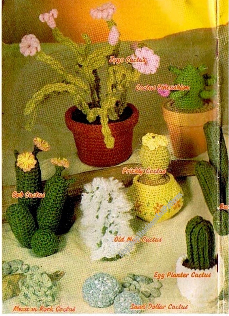 16 Designs Cactus Garden Vintage Crochet Pattern Realistic Mini Cacti Amigurumi Soft Toy Pincushion Gift Idea DIY Instant Download PDF 3682 image 2