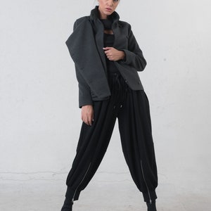May include: A woman wearing a dark gray jacket with a high collar and black pants. The jacket has button details and a zipper closure. The black pants have a unique, loose fit with zippers at the ankles. The outfit is a modern, stylish ensemble.
