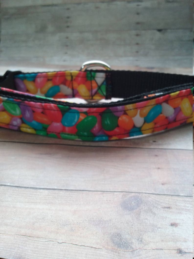 Dog Collar Jelly Bean Easter Collar Lucky Dog Dog Style Etsy
