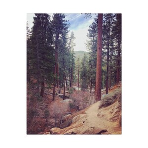 Big Bear Lake California | Castle Rock Trail - Matte Canvas, Stretched, 0.75&quot;