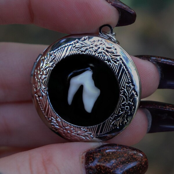 Fox Tooth Locket I - tooth necklace, fox jewelry, keepsake locket, memento mori, gothic fashion, real animal teeth, oddity jewelry