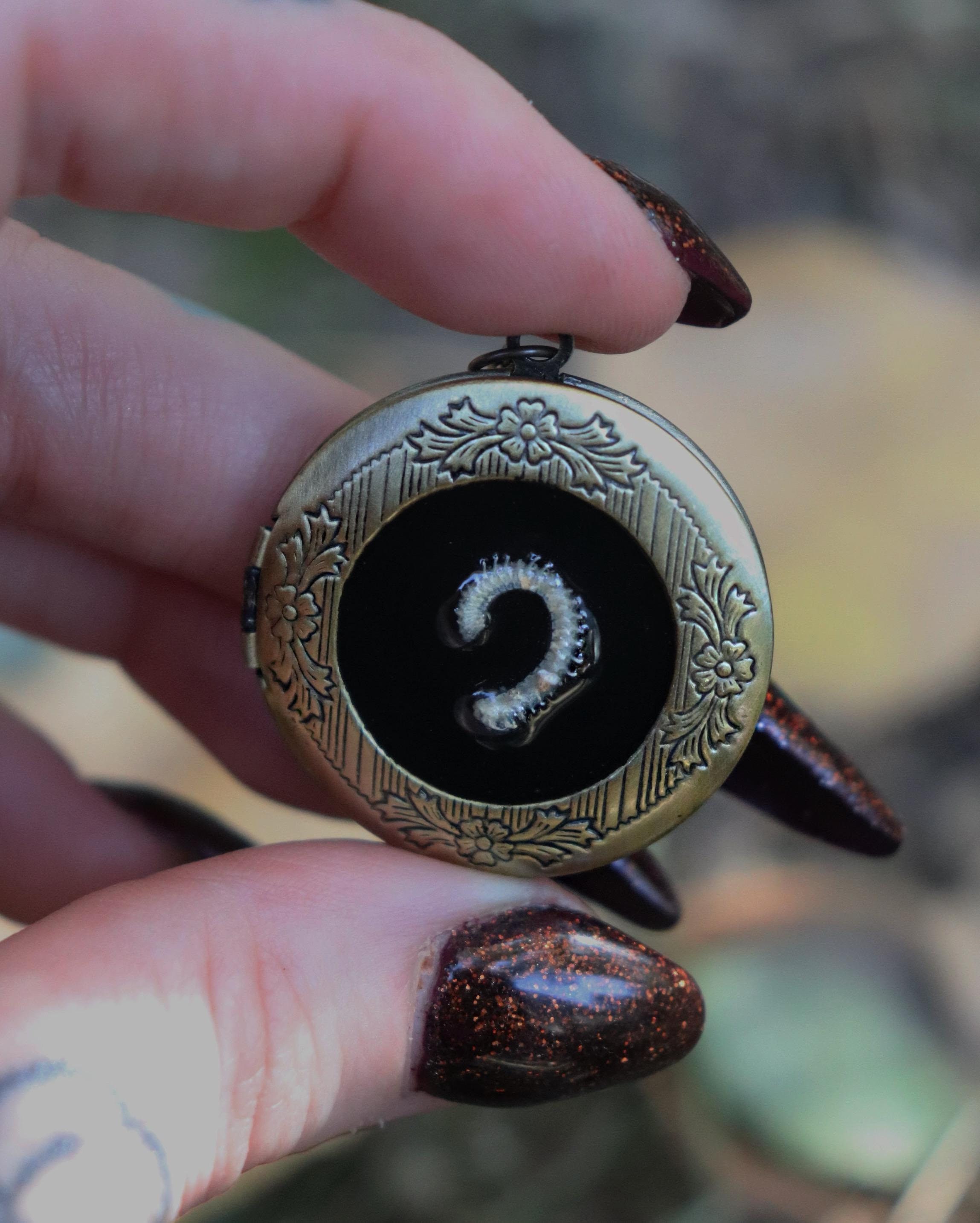 Snake Locket - Real Animal Bones, Snake Vertebrae, Spine Necklace ...