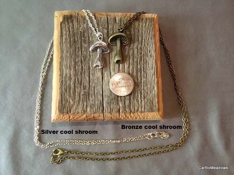 Mushroom Necklaces Gregg Allman Brothers Band Image 0 1
