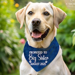 Big Sister Dog Bandana Pregnancy Announcement: Over the Collar Cotton Pet Scarf