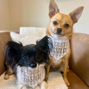 Gender reveal dog bandana,Big Sister dog bandana,Pregnancy announcement dog bandana,Big Sister Dog Bandana with Snaps