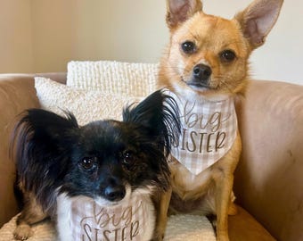 Big Sister Dog Bandana: Pregnancy Announcement, Gender Reveal