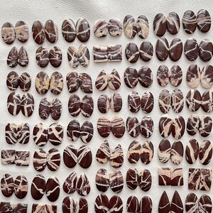 May include: A collection of polished cabochons in various shapes including ovals, teardrops, and rectangles. Each piece features a deep brown base color with intricate, light-colored, vein-like patterns running across the surface of the stones.