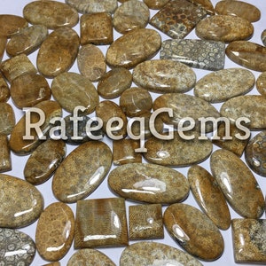 Polished Fossil Coral Cabochon Lot: Jewelry Making Supplies