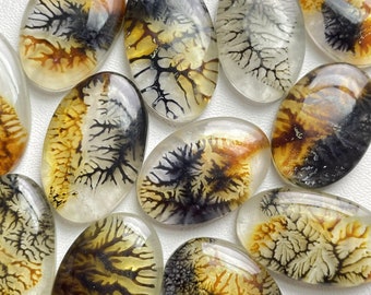 Scenic Agate Doublet Cabochon Wholesale Lot, AAA+ (Lab-Created) Scenic Agate Doublet By Weight With Different Shapes And Sizes