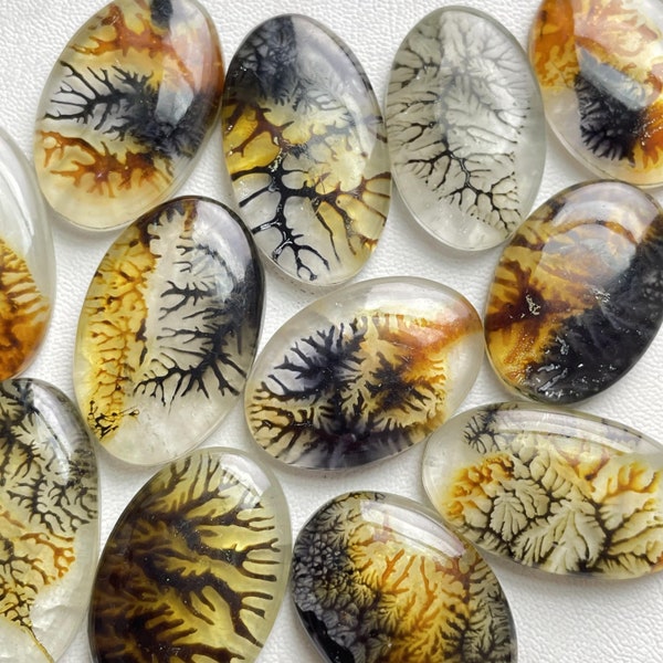 Scenic Agate Doublet Cabochon Wholesale Lot, AAA+ (Lab-Created) Scenic Agate Doublet By Weight With Different Shapes And Sizes