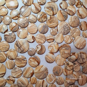 Natural Picture Jasper Round Cabochon, Wholesale Picture Jasper Gemstone lot, Bulk Sale Cabochon, Smooth polished Jasper Cab, Flat back Cab