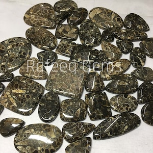 Lote por atacado de cabochão de ágata Turritella, cabochão de pedra preciosa de ágata Turritella em formato misto, ágata Turritella, pedra solta de ágata de alta qualidade
