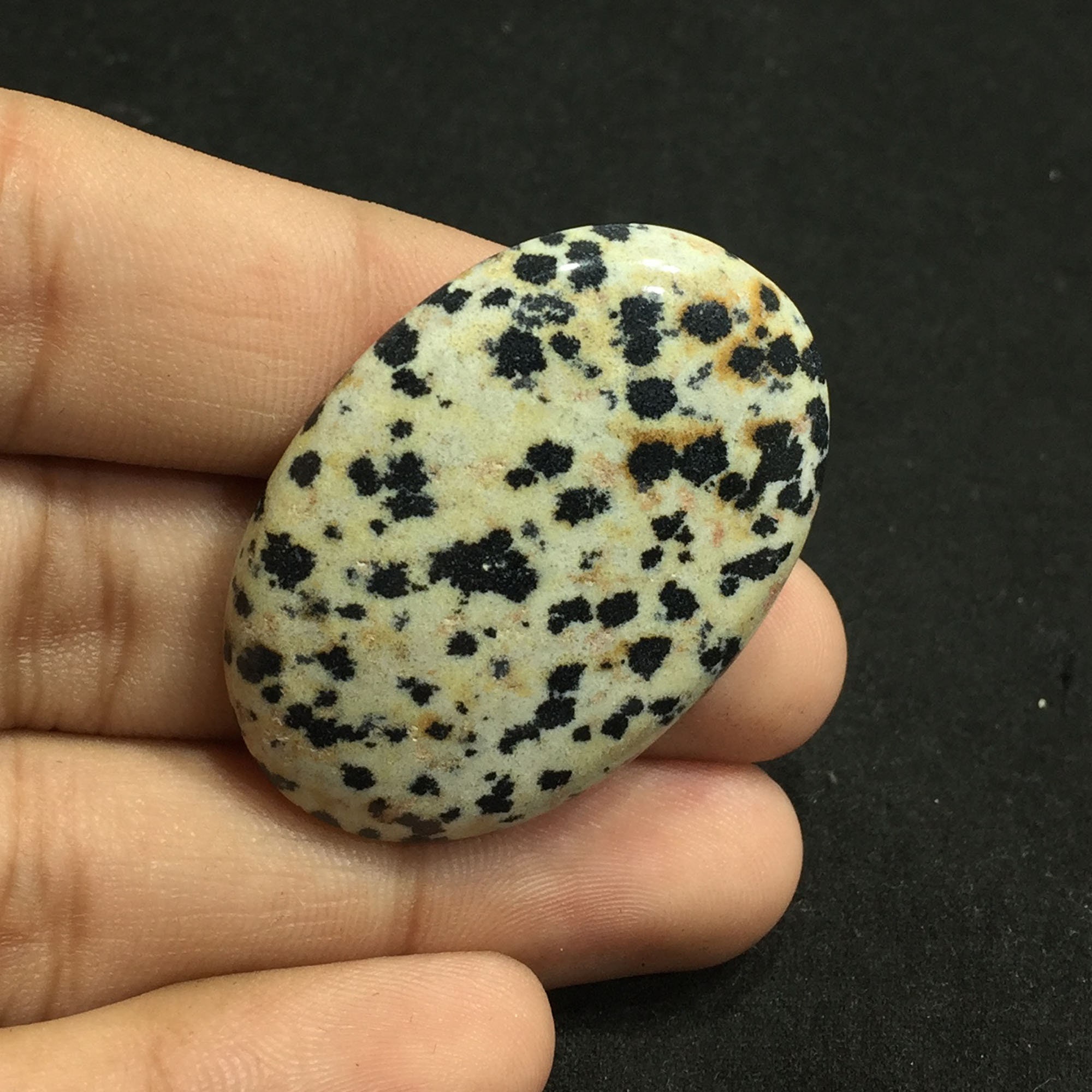 Dalmatian Jasper Crystal Palm Stone Gemstone Dalmatian Jasper Etsy