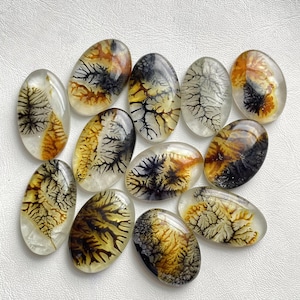 May include: A collection of eleven oval-shaped dendritic agate cabochons. Each smooth, polished stone features translucent white to clear backgrounds with intricate, branching black and golden-brown fern-like inclusions that resemble natural foliage.