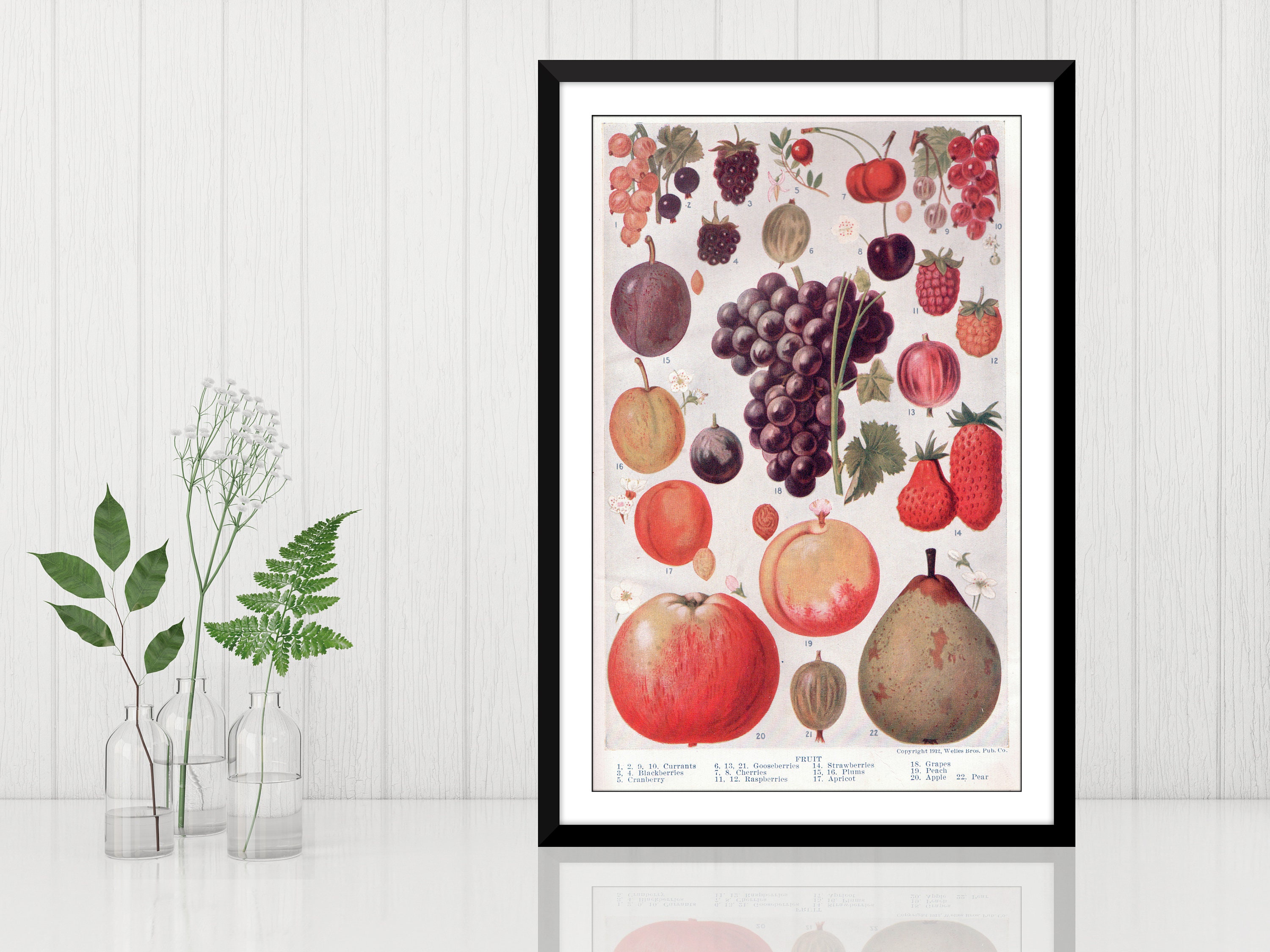 Vintage Fruit Art Print Fruit Kitchen Decor Fruit Wall Art Etsy