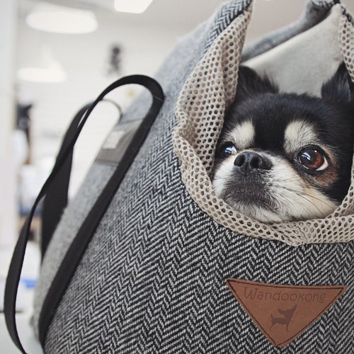 Shih Tzu Dog Canvas Tote Bag Pet Shopping Purse Beach Diaper Puppy Travel Carry 