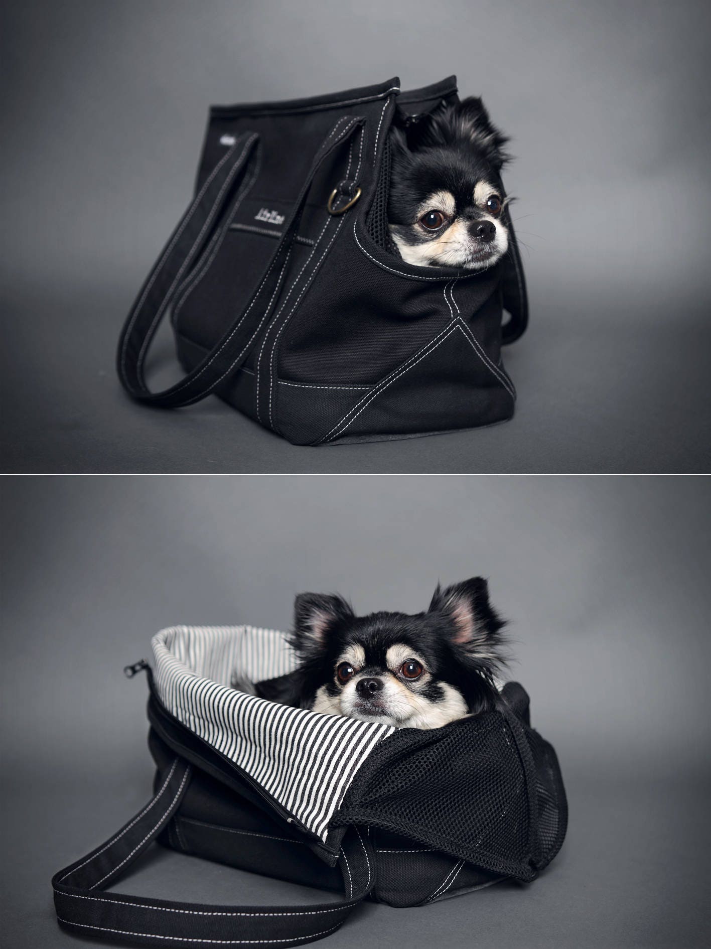 8 Practical Dog Carrier Backpacks for Pups Over 25 lbs - Hey, Djangles.
