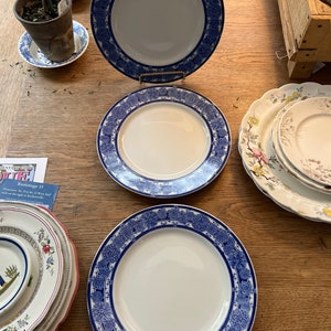 Vintage Blue and White Dinner Plates. 9”.