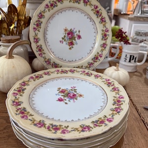 Puede incluir: Una pila de platos de porcelana vintage con borde crema y diseño floral. Los platos presentan un borde festoneado y un ramo central de flores rosas y azules. Un segundo plato es visible en el fondo.