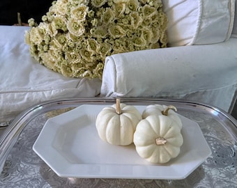 White Independence Ironstone Platter.  Japan.