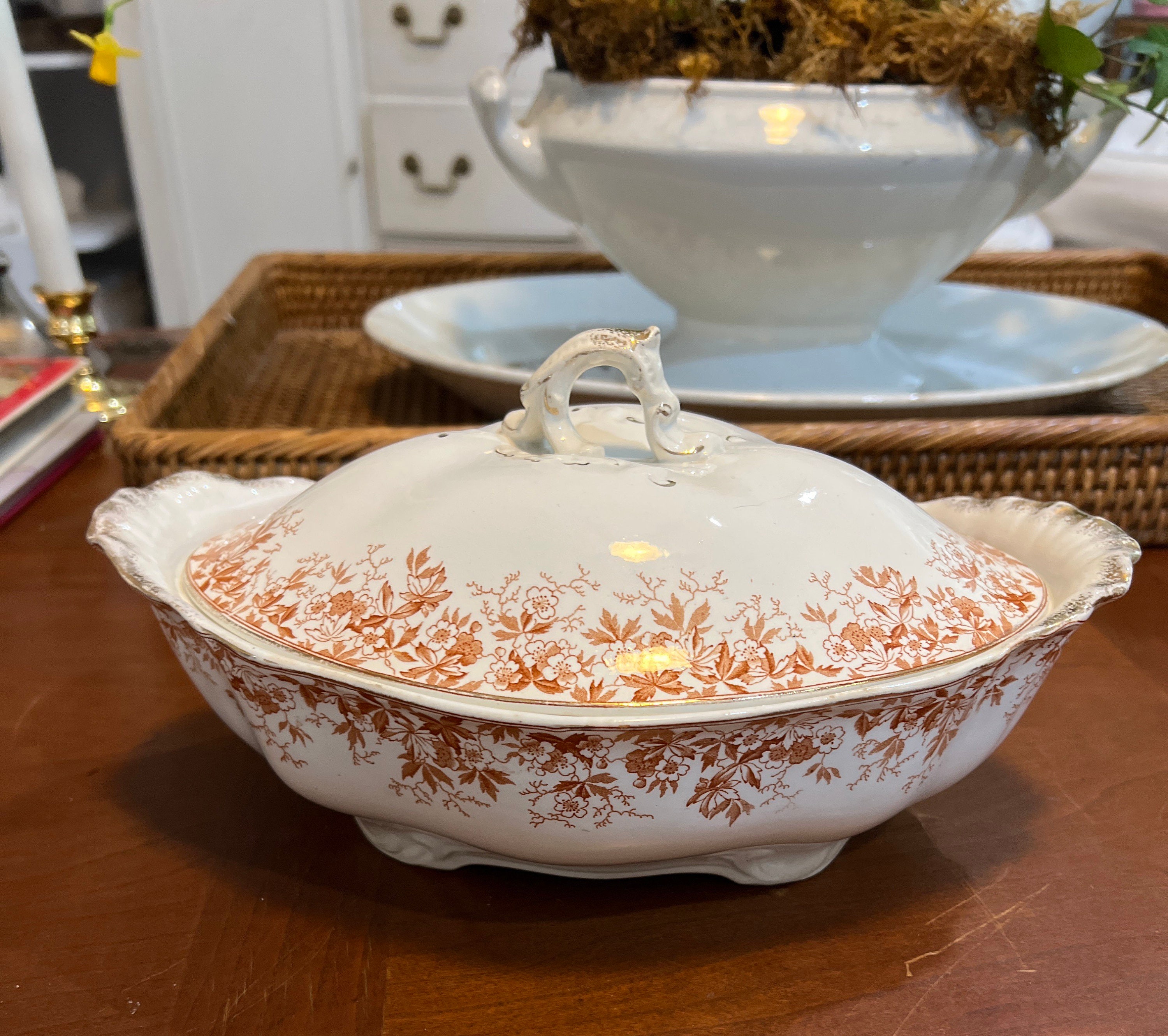 アンティーク アルフレッド ミーキン リン ブラウン フローラル