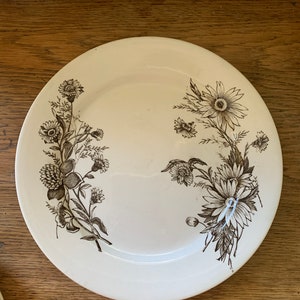 Brown and White Transferware Ironstone Dinner Plate.  Measures 9.5”.