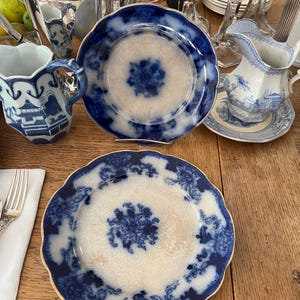 Blue and White Flow Blue Plates.  Set of 2.