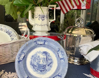 Antike blau-weiße Transferware-Platte, J. Clementson Staffordshire, 1850