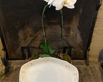 Johnson Bros. Royal Semi-Porcelain Platter
