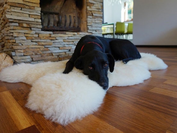 Original BIG L White Genuine Natural Sheepskin Rug Exclusive Rug