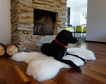 rug dog bed